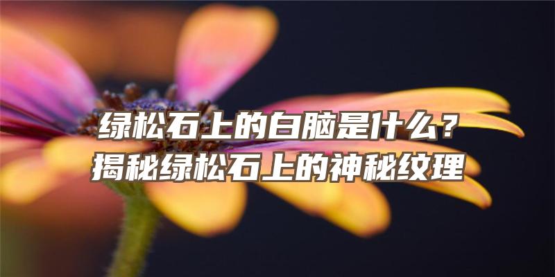 绿松石上的白脑是什么？揭秘绿松石上的神秘纹理