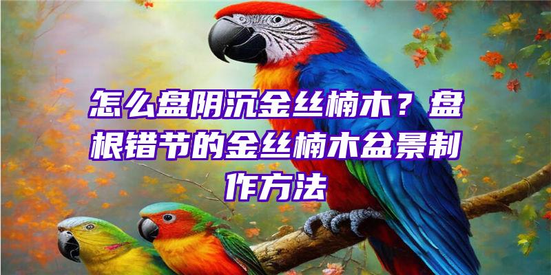 怎么盘阴沉金丝楠木？盘根错节的金丝楠木盆景制作方法