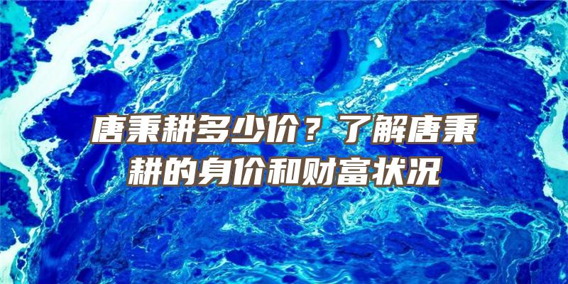 唐秉耕多少价？了解唐秉耕的身价和财富状况