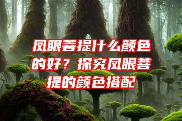 凤眼菩提什么颜色的好？探究凤眼菩提的颜色搭配