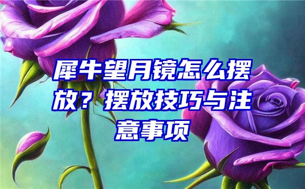 犀牛望月镜怎么摆放？摆放技巧与注意事项