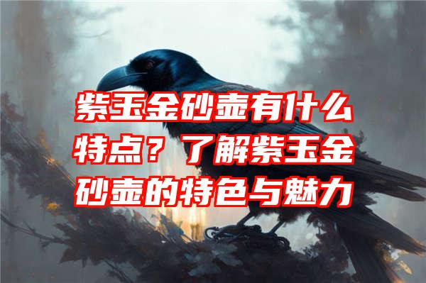 紫玉金砂壶有什么特点？了解紫玉金砂壶的特色与魅力