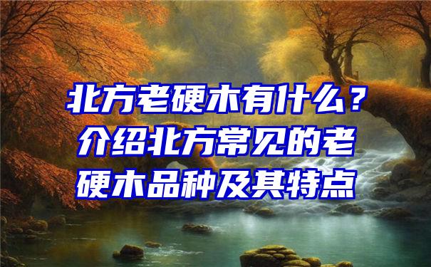 北方老硬木有什么？介绍北方常见的老硬木品种及其特点