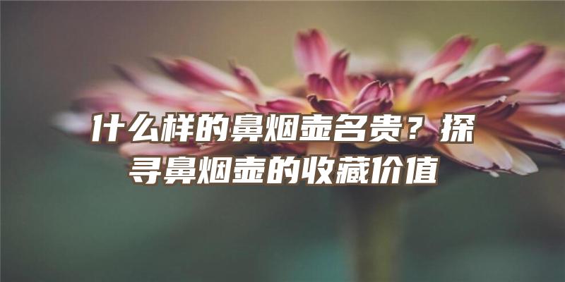 什么样的鼻烟壶名贵？探寻鼻烟壶的收藏价值