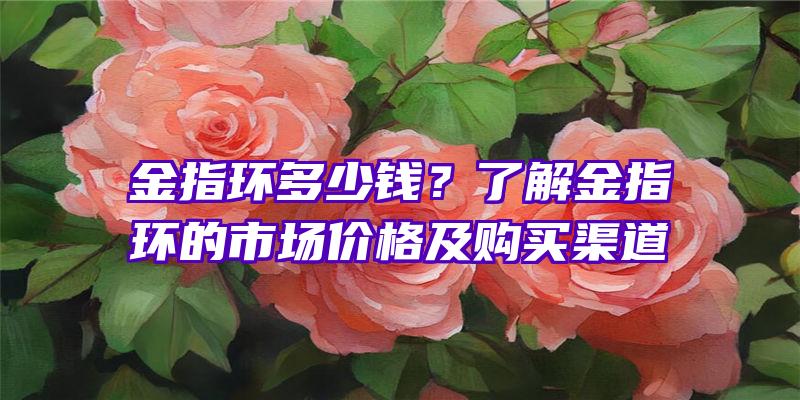 金指环多少钱？了解金指环的市场价格及购买渠道