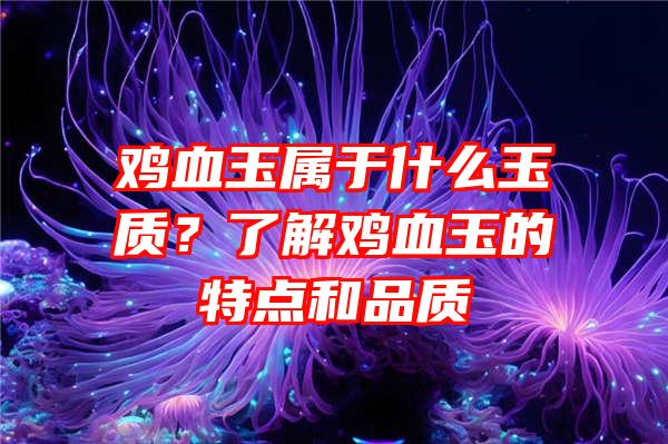 鸡血玉属于什么玉质？了解鸡血玉的特点和品质