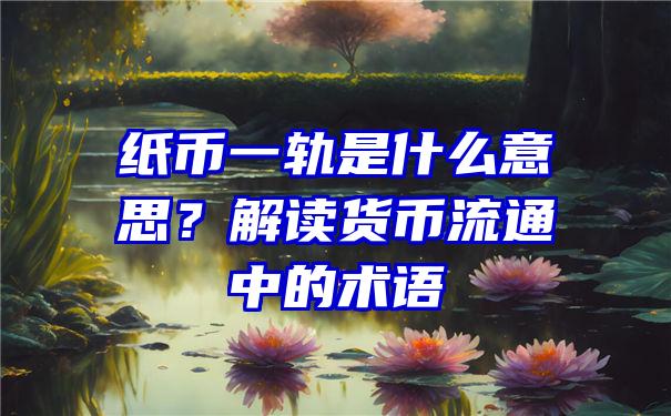 纸币一轨是什么意思？解读货币流通中的术语