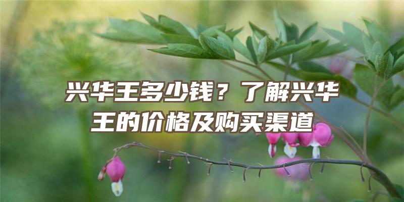 兴华王多少钱？了解兴华王的价格及购买渠道