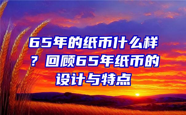 65年的纸币什么样？回顾65年纸币的设计与特点