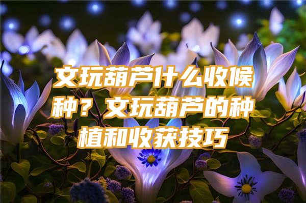 文玩葫芦什么收候种？文玩葫芦的种植和收获技巧