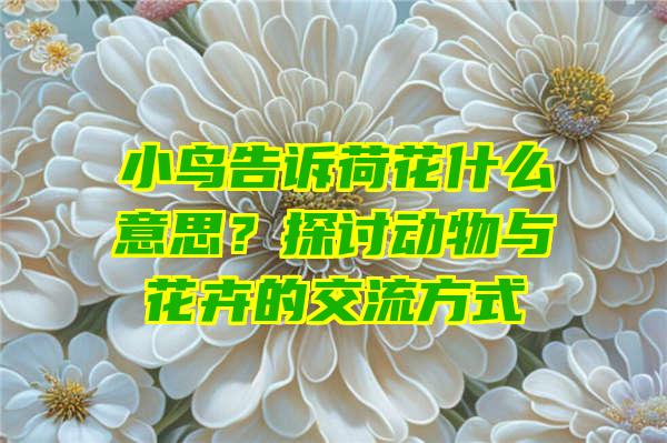 小鸟告诉荷花什么意思？探讨动物与花卉的交流方式