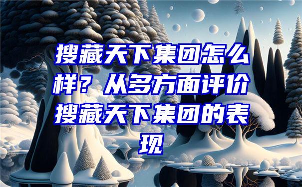 搜藏天下集团怎么样？从多方面评价搜藏天下集团的表现