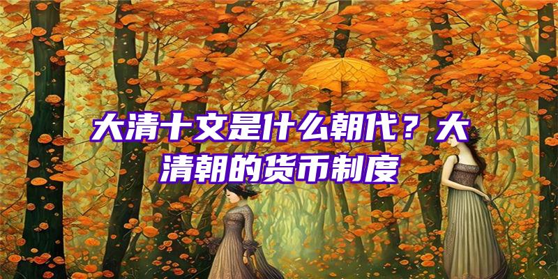 大清十文是什么朝代？大清朝的货币制度