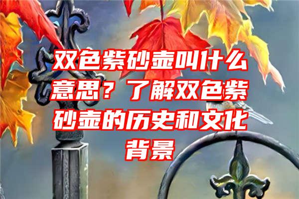 双色紫砂壶叫什么意思？了解双色紫砂壶的历史和文化背景