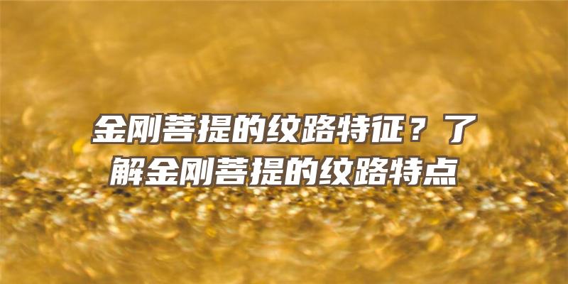 金刚菩提的纹路特征？了解金刚菩提的纹路特点