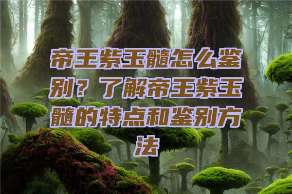 帝王紫玉髓怎么鉴别？了解帝王紫玉髓的特点和鉴别方法