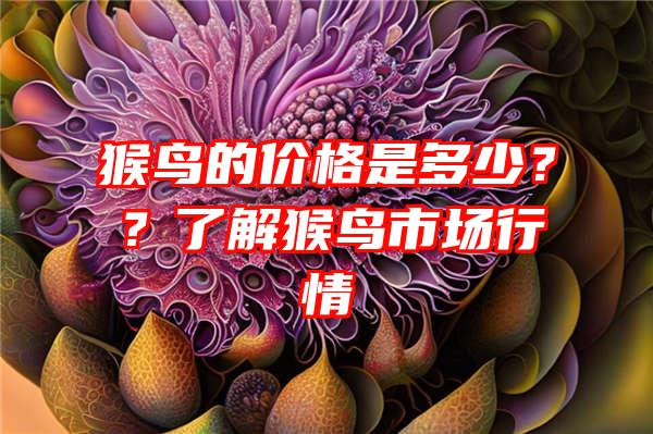 猴鸟的价格是多少？？了解猴鸟市场行情