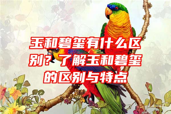 玉和碧玺有什么区别？了解玉和碧玺的区别与特点