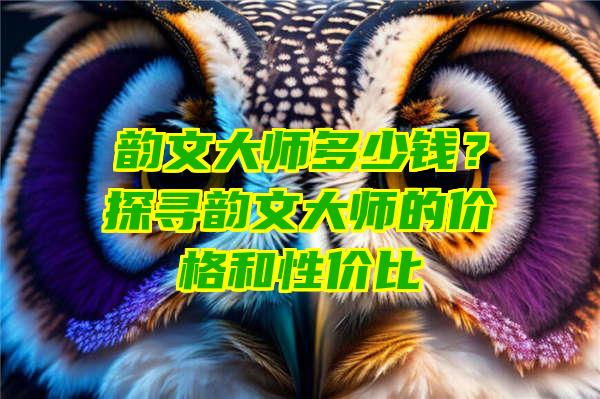 韵文大师多少钱？探寻韵文大师的价格和性价比