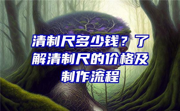 清制尺多少钱？了解清制尺的价格及制作流程