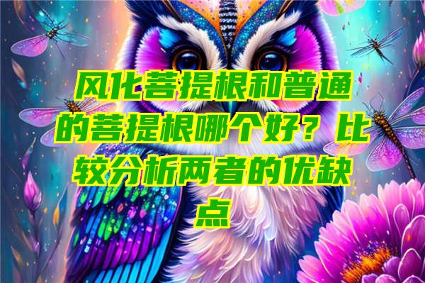 风化菩提根和普通的菩提根哪个好？比较分析两者的优缺点