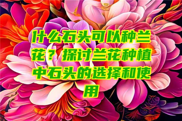 什么石头可以种兰花？探讨兰花种植中石头的选择和使用