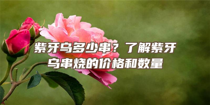 紫牙乌多少串？了解紫牙乌串烧的价格和数量