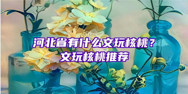 河北省有什么文玩核桃？文玩核桃推荐