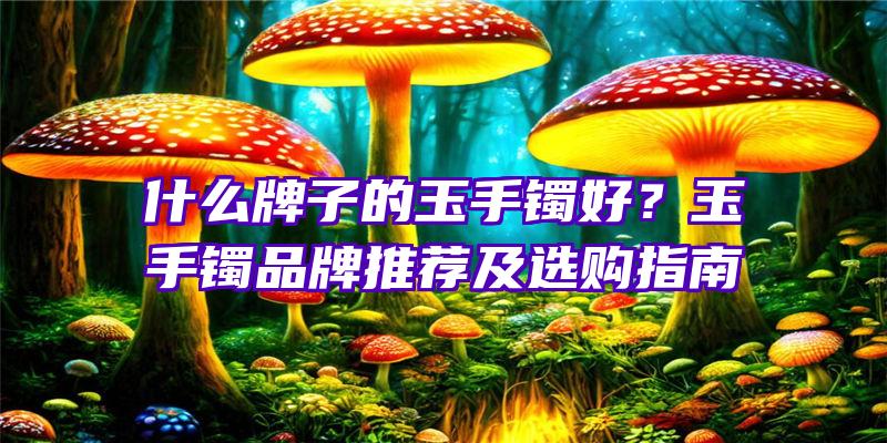 什么牌子的玉手镯好？玉手镯品牌推荐及选购指南