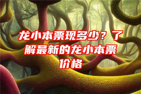 龙小本票现多少？了解最新的龙小本票价格