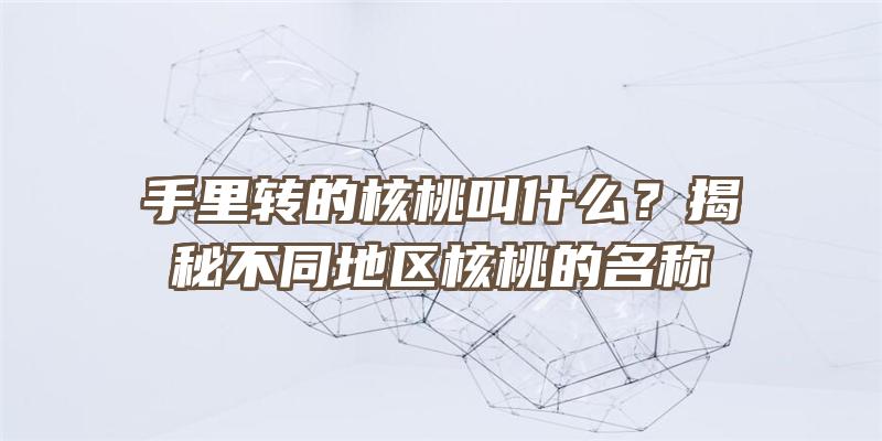 手里转的核桃叫什么？揭秘不同地区核桃的名称