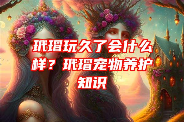 玳瑁玩久了会什么样？玳瑁宠物养护知识