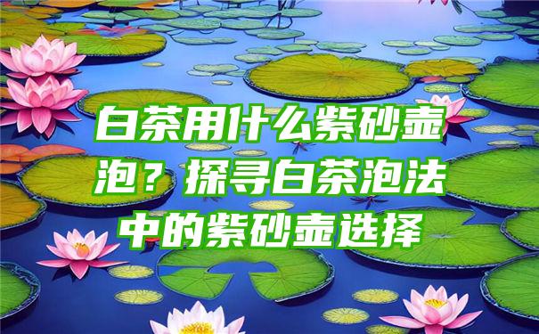 白茶用什么紫砂壶泡？探寻白茶泡法中的紫砂壶选择