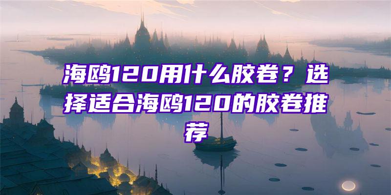 海鸥120用什么胶卷？选择适合海鸥120的胶卷推荐