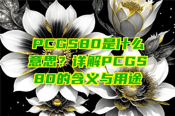 PCGS80是什么意思？详解PCGS80的含义与用途