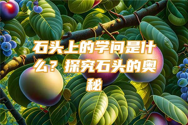 石头上的学问是什么？探究石头的奥秘