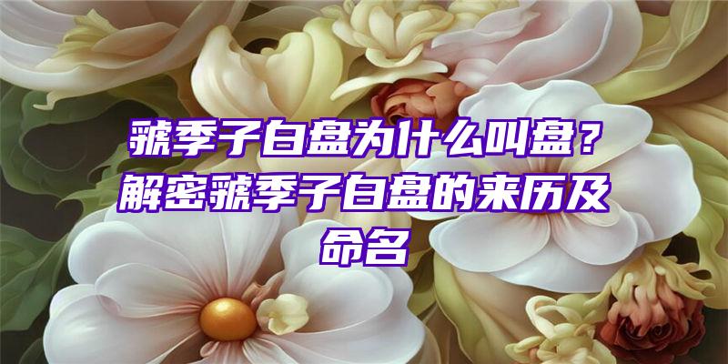 虢季子白盘为什么叫盘？解密虢季子白盘的来历及命名