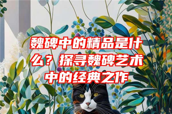 魏碑中的精品是什么？探寻魏碑艺术中的经典之作