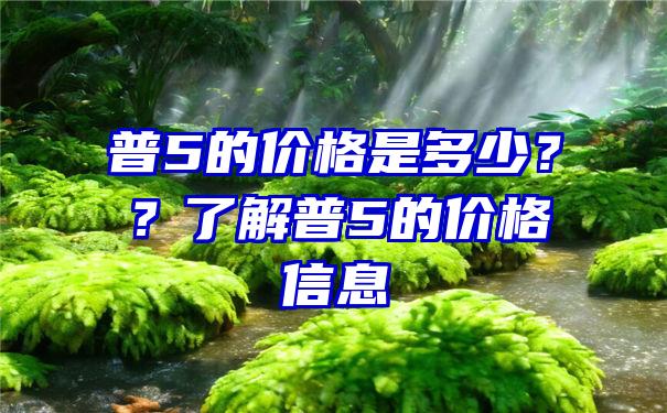 普5的价格是多少？？了解普5的价格信息