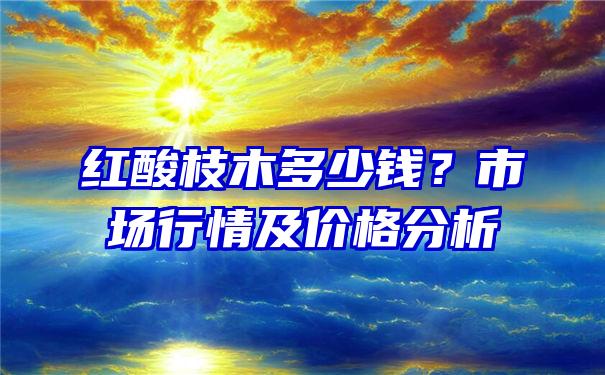 红酸枝木多少钱？市场行情及价格分析