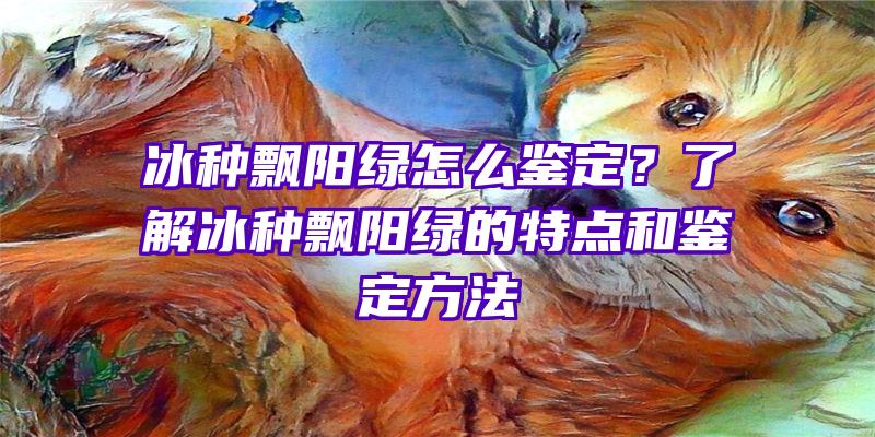 冰种飘阳绿怎么鉴定？了解冰种飘阳绿的特点和鉴定方法