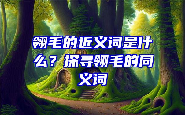 翎毛的近义词是什么？探寻翎毛的同义词