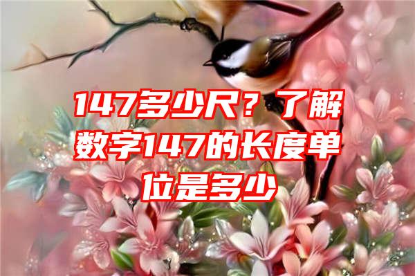 147多少尺？了解数字147的长度单位是多少