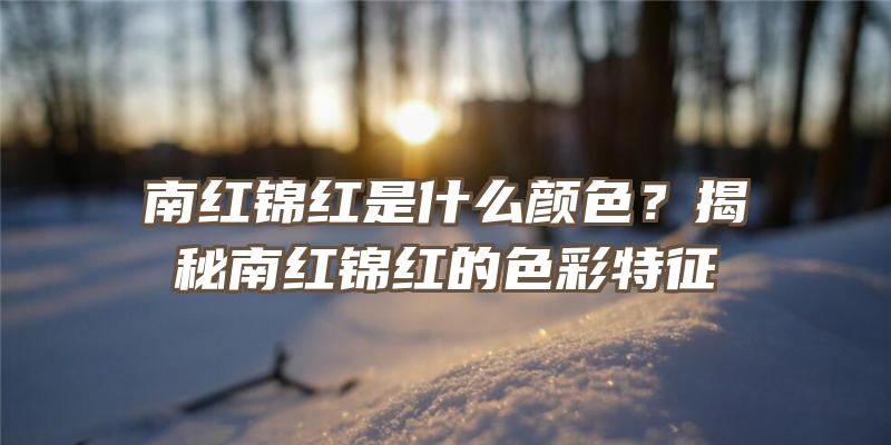 南红锦红是什么颜色？揭秘南红锦红的色彩特征