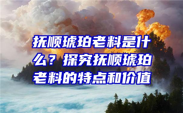 抚顺琥珀老料是什么？探究抚顺琥珀老料的特点和价值