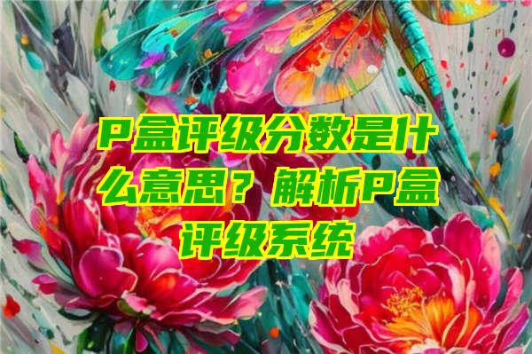 P盒评级分数是什么意思？解析P盒评级系统