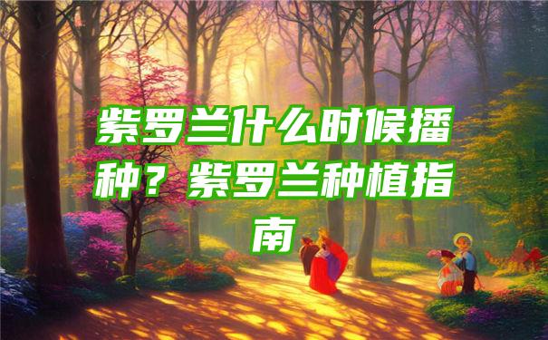 紫罗兰什么时候播种？紫罗兰种植指南