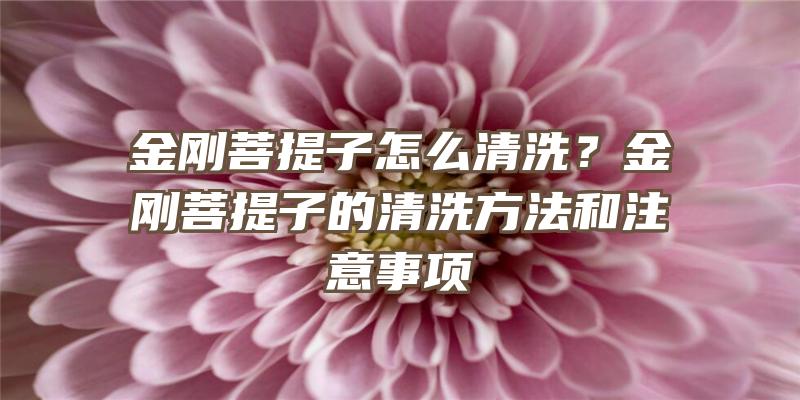 金刚菩提子怎么清洗？金刚菩提子的清洗方法和注意事项