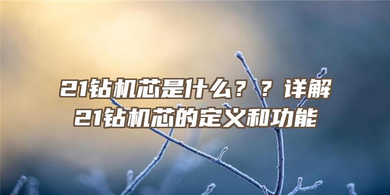 21钻机芯是什么？？详解21钻机芯的定义和功能