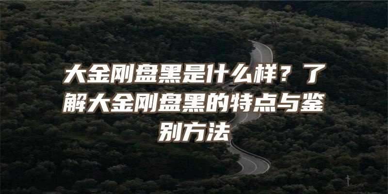 大金刚盘黑是什么样？了解大金刚盘黑的特点与鉴别方法